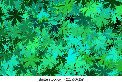Dark Green vector abstract backdrop with flowers. Glitter abstract illustration with flowers. Colorful pattern for kid's books.