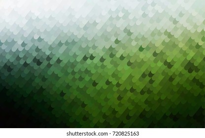 Dark Green vector abstract curved background. A vague circumflex abstract illustration with gradient. A completely new template for your business design.