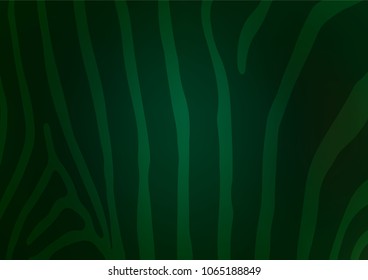Dark Green vector abstract doodle pattern. Colorful illustration in abstract style with doodles and Zen tangles. A completely new design for your business.