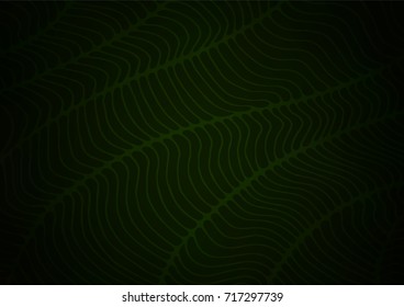 Dark Green vector abstract doodle pattern. Doodles on blurred abstract background with gradient. The doodle design can be used for your web site.