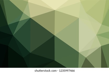 Dark Green vector abstract polygonal cover. Brand new colored illustration in blurry style with gradient. The completely new template can be used for your brand book.