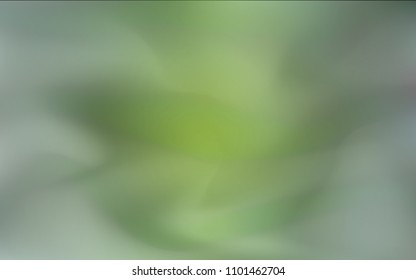 Dark Green vector abstract texture. Shining colored illustration in a brand-new style. A new texture for your design.
