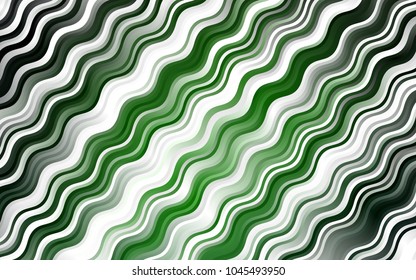 Dark Green vector background with curved circles. Shining illustration, which consist of blurred lines, circles. Pattern for your business design.