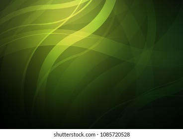 Dark Green vector background with curved circles. Shining illustration, which consist of blurred lines, circles. The elegant pattern for brand book.