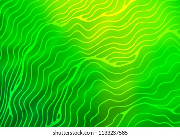 Dark Green vector background with curved circles. Colorful abstract illustration with gradient lines. A completely new template for your business design.
