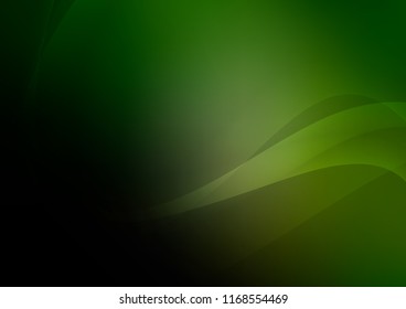Dark Green vector background with liquid shapes. Shining illustration, which consist of blurred lines, circles. A new texture for your  ad, booklets, leaflets.