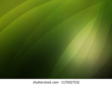 Dark Green vector background with straight lines. Decorative shining illustration with lines on abstract template. The pattern can be used as ads, poster, banner for commercial.