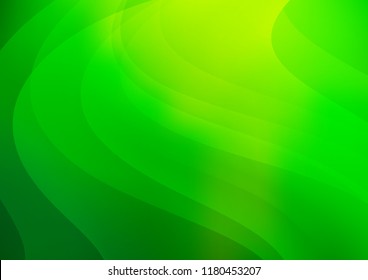 Dark Green vector background with straight lines. Modern geometrical abstract illustration with staves. Smart design for your business advert.