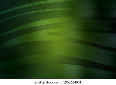 Dark Green vector background with wry lines. Brand new colorful illustration in curved style. Simple template for your design.