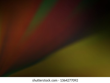 Dark Green vector blurred bright pattern. Modern geometrical abstract illustration with gradient. The background for your creative designs.