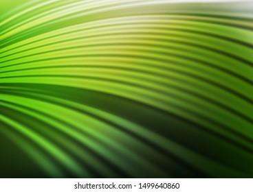 Dark Green vector blurred bright background. A vague abstract illustration with gradient. The blurred design can be used for your web site.