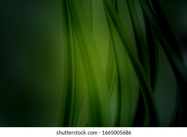 Dark Green vector blurred bright template. An elegant bright illustration with gradient. Completely new design for your business.
