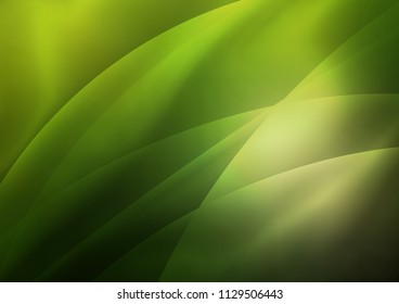 Dark Green vector cover with long lines. Modern geometrical abstract illustration with staves. The pattern can be used as ads, poster, banner for commercial.