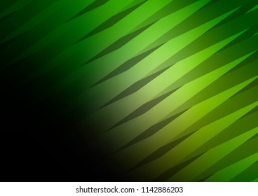 Dark Green vector cover with long lines. Modern geometrical abstract illustration with staves. The template can be used as a background.