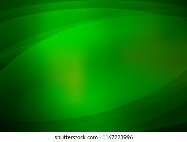 Dark Green vector cover with long lines. Shining colored illustration with narrow lines. The pattern can be used for websites.