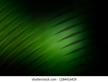 Dark Green vector cover with long lines. Modern geometrical abstract illustration with staves. The template can be used as a background.