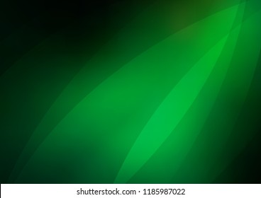 Dark Green vector cover with long lines. Glitter abstract illustration with colored sticks. The template can be used as a background.