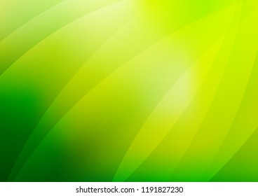 Dark Green vector cover with long lines. Decorative shining illustration with lines on abstract template. Best design for your ad, poster, banner.