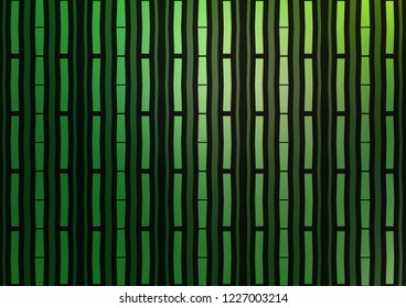 Dark Green vector cover with long lines. Glitter abstract illustration with colored sticks. The pattern can be used as ads, poster, banner for commercial.