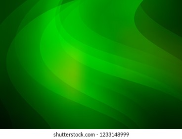 Dark Green vector cover with long lines. Modern geometrical abstract illustration with staves. Best design for your ad, poster, banner.