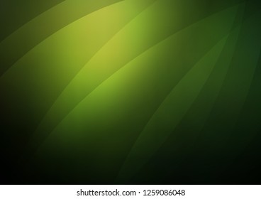Dark Green vector cover with long lines. Shining colored illustration with narrow lines. The pattern can be used as ads, poster, banner for commercial.