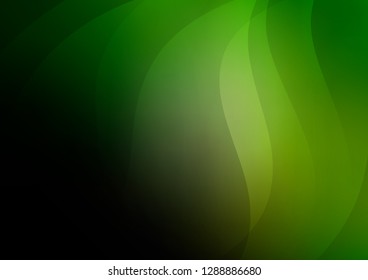 Dark Green vector cover with long lines. Glitter abstract illustration with colored sticks. The pattern can be used for websites.
