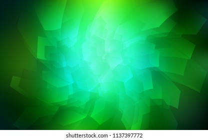 Dark Green vector cover with set of hexagons. Colorful hexagons on white backdrop. Pattern can be used for landing pages.