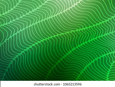 Dark Green vector doodle blurred background. Colorful illustration in abstract style with doodles. The textured pattern can be used for website.