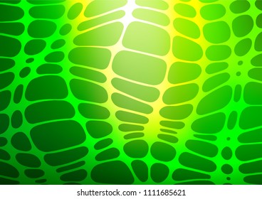 Dark Green vector doodle blurred texture. Colorful illustration in abstract style with doodles and Zen tangles. Brand-new design for your business.