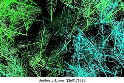 Dark Green vector doodle layout with leaves. Sketchy doodles with leaves on blurred background. Hand painted design for web, leaflets.