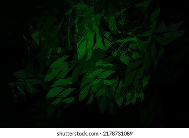 Dark Green vector doodle pattern with leaves. Colorful illustration in doodle style with leaves. The best design for your business.