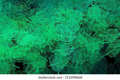 Dark Green vector doodle template with leaves. Leaves and flowers with gradient on white background. Pattern for heads of websites, designs.
