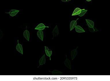 Dark Green vector doodle texture. An elegant bright illustration with leaves in Natural style. Pattern for brand book.