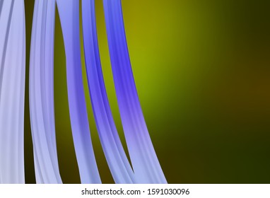 Dark Green vector glossy abstract layout. Glitter abstract illustration with gradient design. New design for your business.