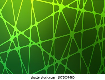 Dark Green vector indian curved background. Shining colored illustration with doodles in Zen tangle style. The elegant pattern can be used as a part of a brand book.