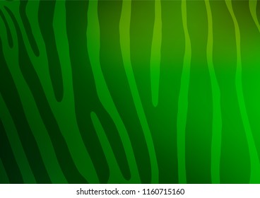Dark Green vector indian curved template. Shining colored illustration with doodles in Zen tangle style. The elegant pattern can be used as a part of a brand book.