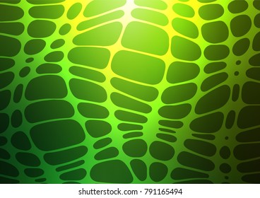 Dark Green vector indian curved background. Geometric doodle illustration in Origami style with gradient. A completely new template for your business design.