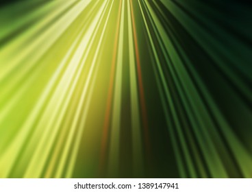 Dark Green vector layout with flat lines. Shining colored illustration with narrow lines. Best design for your ad, poster, banner.