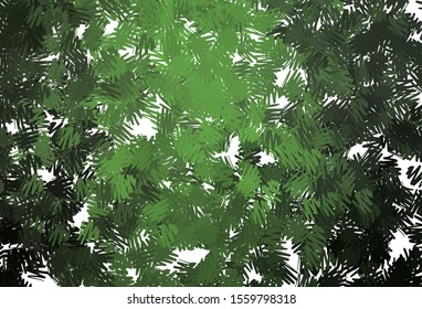 Dark Green vector layout with flat lines. Colorful shining illustration with lines on abstract template. Pattern for ad, booklets, leaflets.