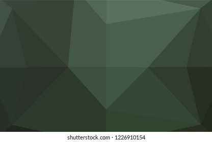 Dark Green vector low poly texture. A completely new color illustration in a vague style. A completely new design for your business.