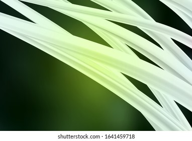 Dark Green vector modern elegant backdrop. Modern abstract illustration with gradient. Background for a cell phone.