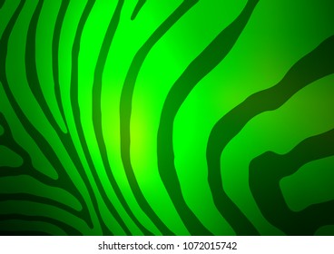 Dark Green vector natural abstract stripe template. A vague abstract illustration with doodles in Indian style. Brand-new design for your business.