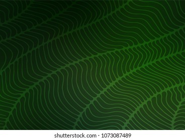 Dark Green vector natural abstract pattern. Colorful illustration in abstract style with doodles. Hand painted design for web, leaflet, textile.