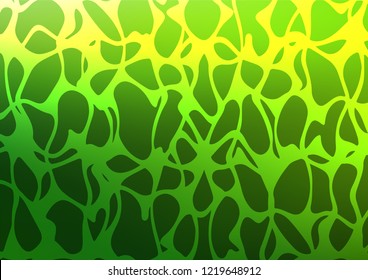 Dark Green vector natural abstract texture. Colorful illustration in abstract style with doodles and Zen tangles. A new texture for your design.