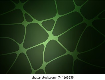 Dark Green vector natural abstract background. Colorful illustration in abstract style with doodles and Zen tangles. The elegant pattern can be used as a part of a brand book.