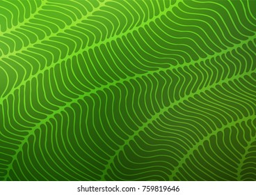 Dark Green vector natural abstract template. A completely new color illustration in doodle style. The pattern can be used for heads of websites and designs.