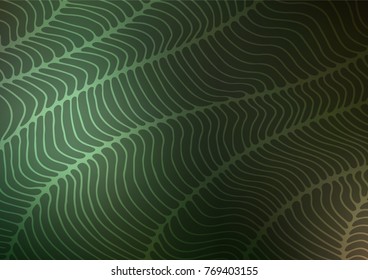 Dark Green vector natural abstract template. Brand-new colored illustration in blurry style with doodles. Brand-new design for your business.