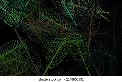 Dark Green vector natural artwork with flowers, leaves. Leaves, flowers in natural style on white background. Textured pattern for websites, banners.