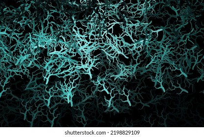 Vector verde oscuro fondo natural con hojas, ramas. Decoración de estilo indio con fondo blanco. Plantilla para fondos de teléfonos móviles.
