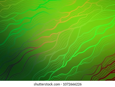 Dark Green vector natural elegant pattern. Doodles on blurred abstract background with gradient. A completely new design for your business.